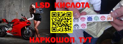 крисы Беслан
